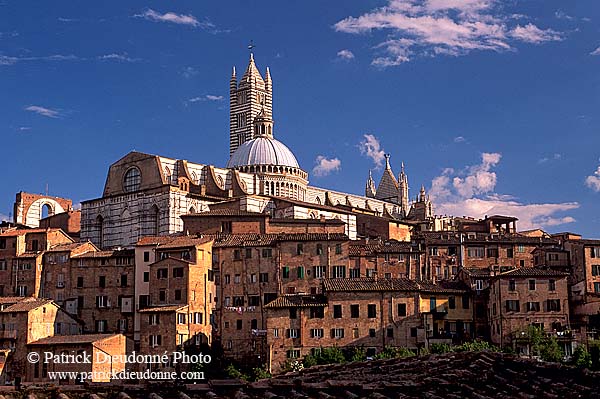 Tuscany, Siena, the Duomo -  Toscane, Sienne, la cathédrale  12582