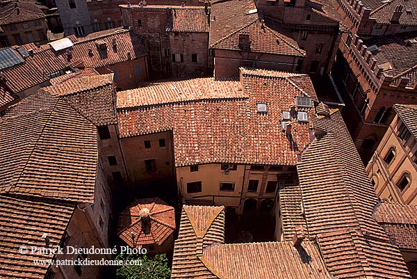 Tuscany, Siena, roofs -  Toscane, Sienne, toits de la ville  12595
