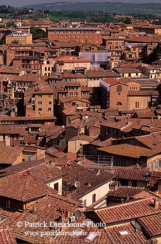 Tuscany, Siena, roofs -  Toscane, Sienne, toits de la ville  12603