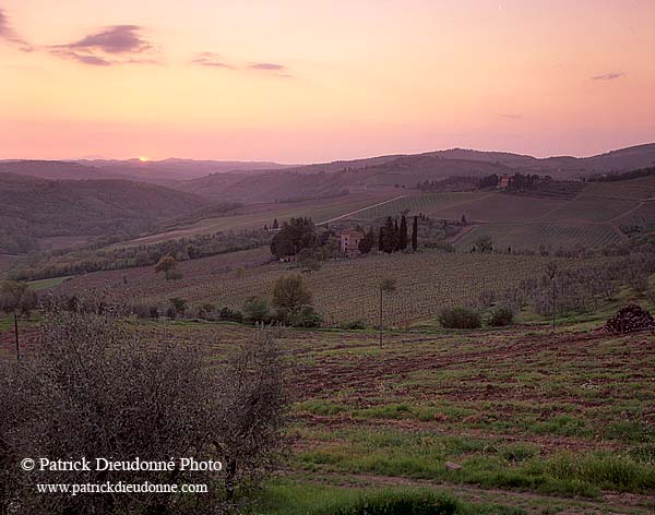 Tuscany, Chianti, Sunset & vineyards - Toscane, Chianti  12092