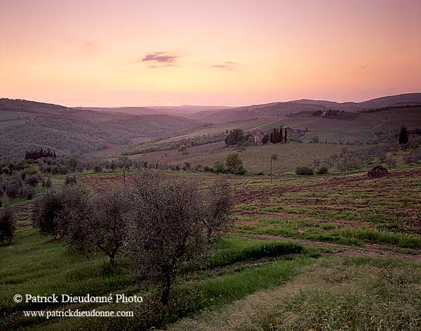 Tuscany, Chianti, Sunset & vineyards - Toscane, Chianti  12093