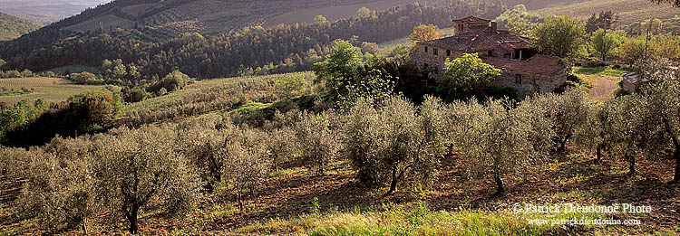 Tuscany, Chianti, Sunset & vineyards - Toscane, Chianti  12115