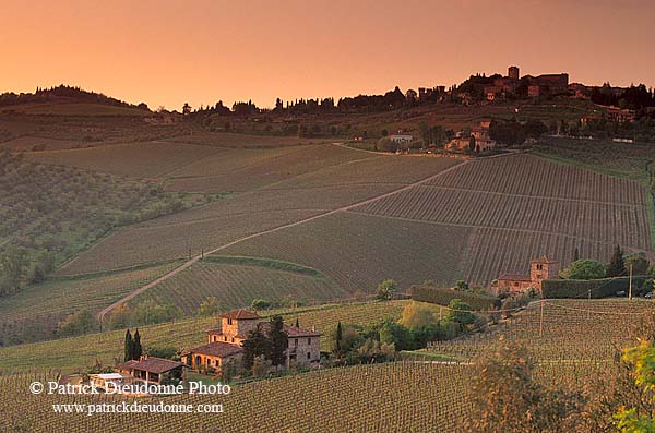 Tuscany, Chianti, Sunset & vineyards - Toscane, Chianti  12099