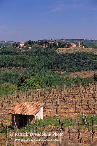 Tuscany, Chianti, vineyards - Toscane, Chianti, vignes  12139