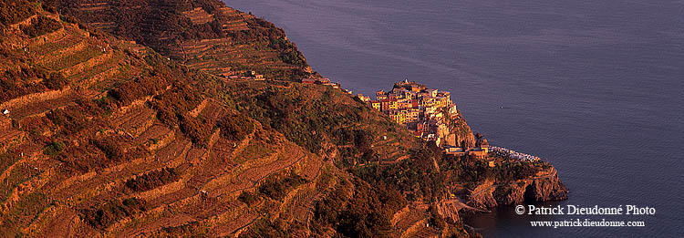 Liguria - Ligurie, Cinque Terre: Manarola - village de Manarola  12156