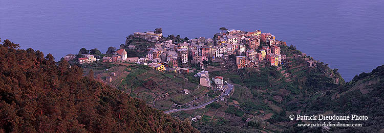 Liguria - Ligurie, Cinque Terre: Corniglia, village de Corniglia 12174