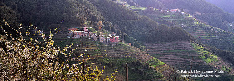 Liguria - Ligurie, Cinque Terre: small village - Petit village   12184