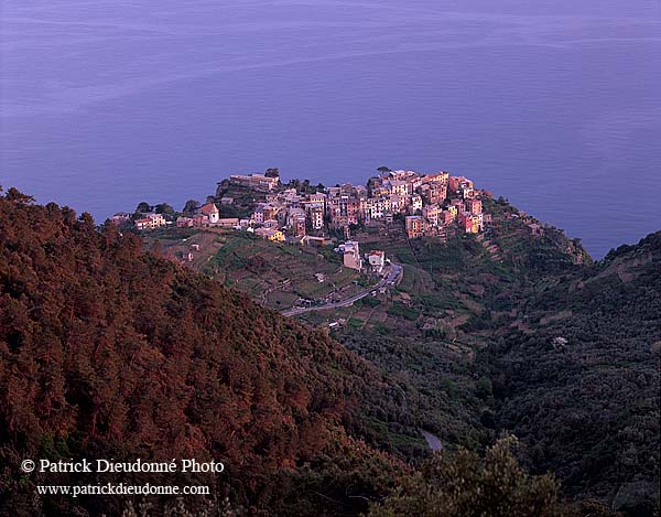 Liguria - Ligurie, Cinque Terre: Corniglia, village de Corniglia 12175