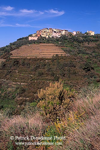 Liguria - Ligurie, Cinque Terre: small village - Petit village 12194