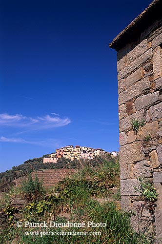 Liguria - Ligurie, Cinque Terre: small village - Petit village    12196
