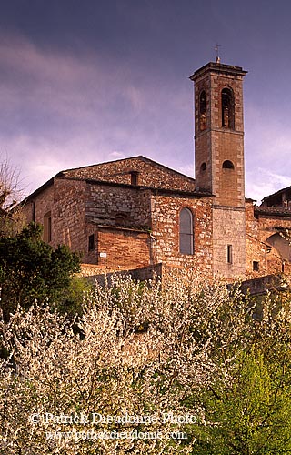 Tuscany, Colle di Val d'Elsa - Toscane, Colle di Val d'Elsa  12217