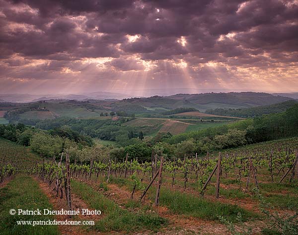 Tuscany, near San Gimignano - Toscane, vignes et orage  12370