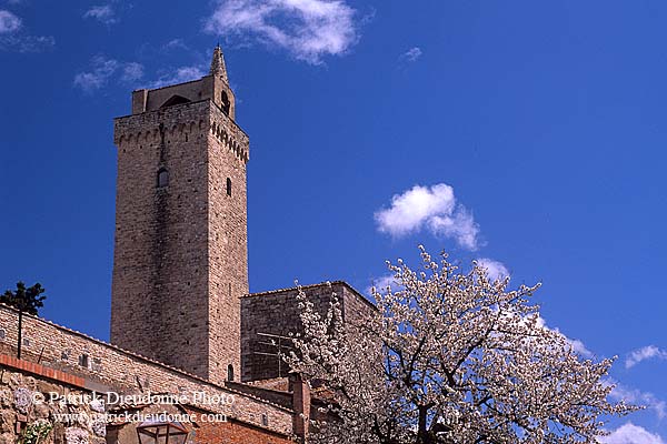 Tuscany, San Gimignano, Torre Grossa - Toscane, San Gimignano  12394
