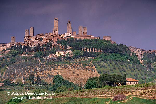 Tuscany, San Gimignano - Toscane, San Gimignano  12375