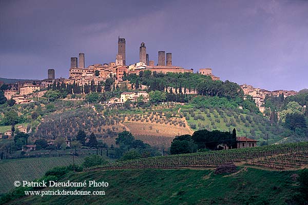 Tuscany, San Gimignano - Toscane, San Gimignano  12378