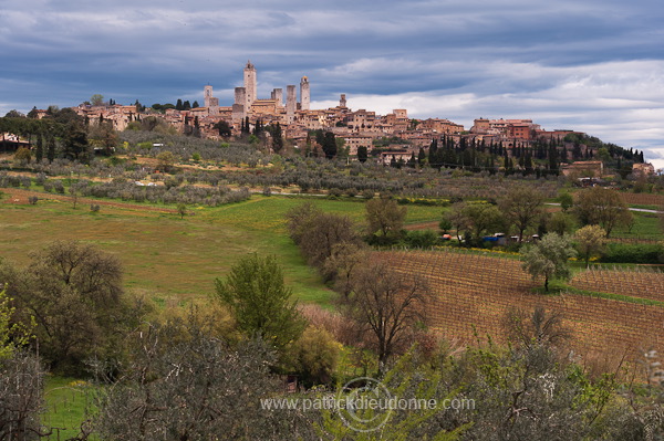 San Gimignano, Tuscany - San Gimignano, Toscane -  it01403