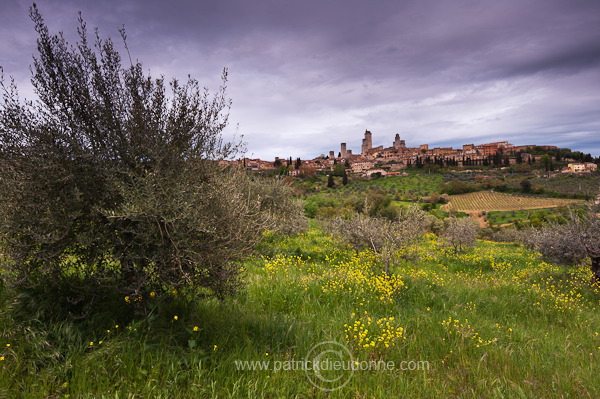 San Gimignano, Tuscany - San Gimignano, Toscane - it01404