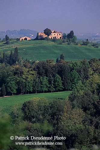 Tuscany, Florence, countryside - Toscane, Florence, campagne  12366