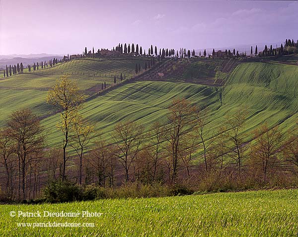 Tuscany, Crete region, near Arbia - Toscane, Crete, Arbia   12234