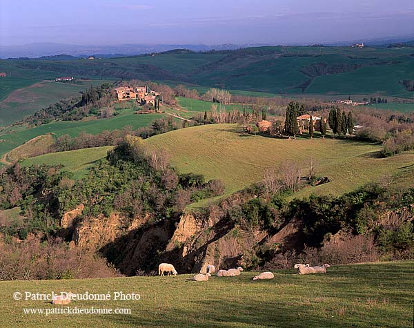 Tuscany, Crete region, near Asciano - Toscane, Crete, Asciano  12241