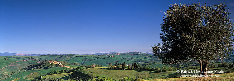 Tuscany, Crete region, near Asciano - Toscane, Crete, Asciano   12236