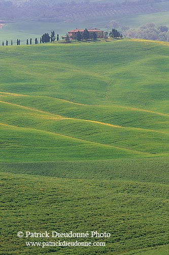 Tuscany, Crete region - Toscane, paysage des Crete    12237