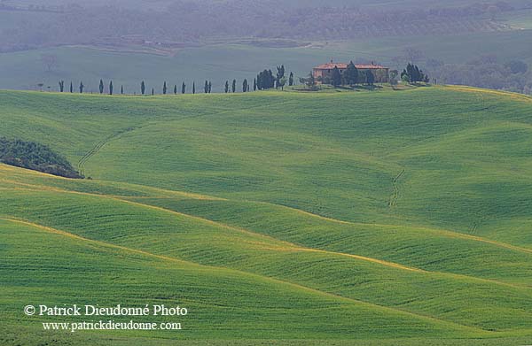 Tuscany, Crete region - Toscane, paysage des Crete    12239