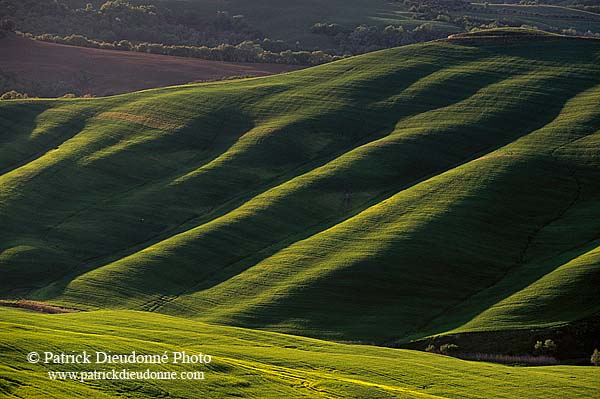 Tuscany, Crete region - Toscane, paysage des Crete    12254