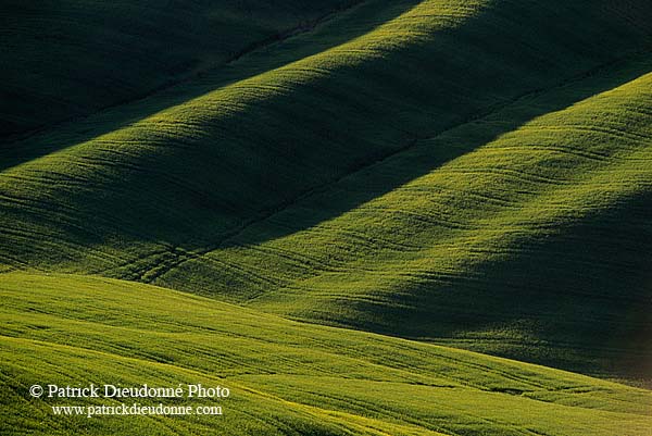 Tuscany, Crete region - Toscane, paysage des Crete    12255