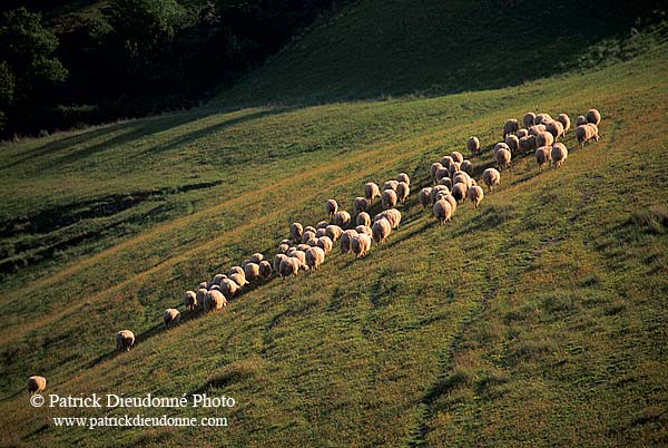 Tuscany, Crete region - Toscane, paysage des Crete    12265