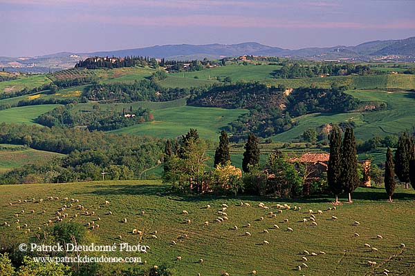 Tuscany, Crete region - Toscane, paysage des Crete    12263