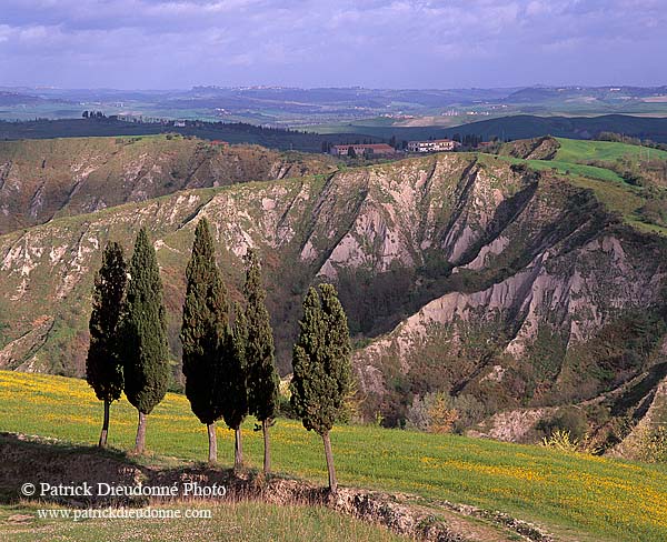 Tuscany, Volterra, Balze landscape  - Toscane, Volterra  12745