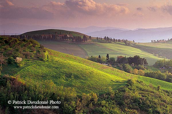 Tuscany, Volterra, landscape at dusk  - Toscane, Volterra  12765