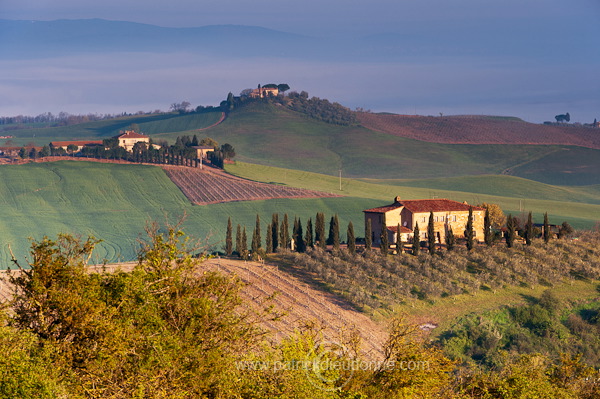 Rural landscape, Tuscany - Campagne de Toscane - it01016