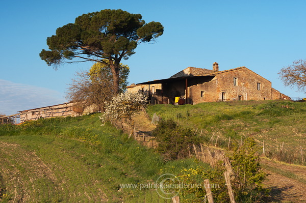 Rolling hills, Tuscany - Collines de Toscane - it01019