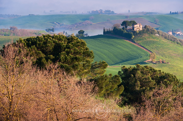Rolling hills, Tuscany - Collines de Toscane - it01022