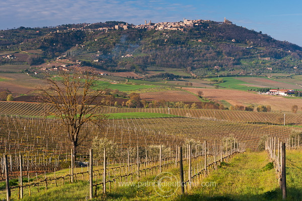 Montalcino, Tuscany - Montalcino, Toscane - it01026