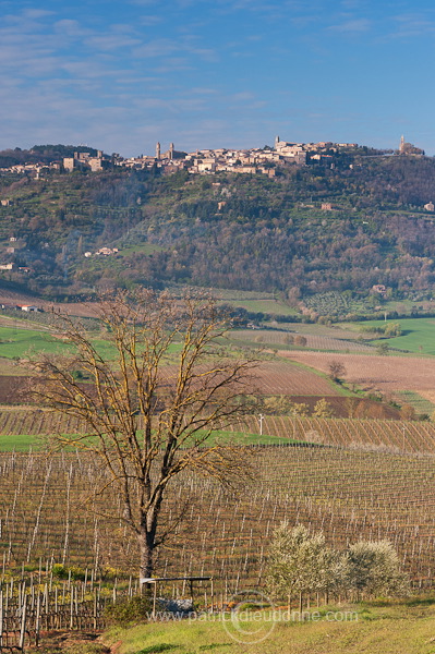 Montalcino, Tuscany - Montalcino, Toscane -  it01027