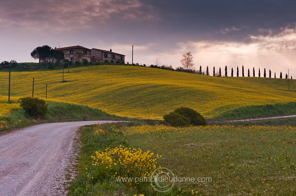 Farm house, Tuscany - Ferme en Toscane - it01086