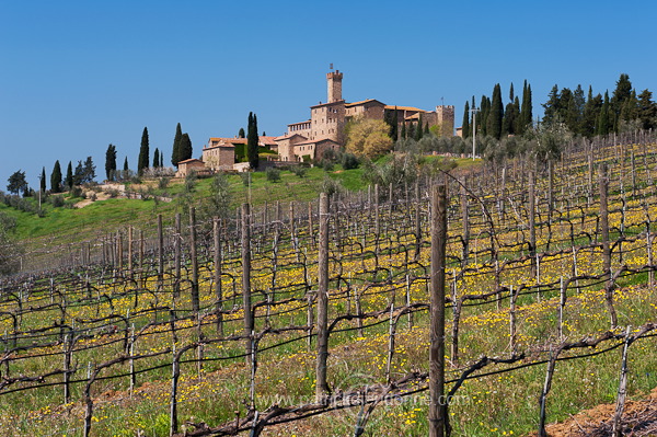 Poggio alle Mura, Tuscany - Poggio alle Mura, Toscane - it01275