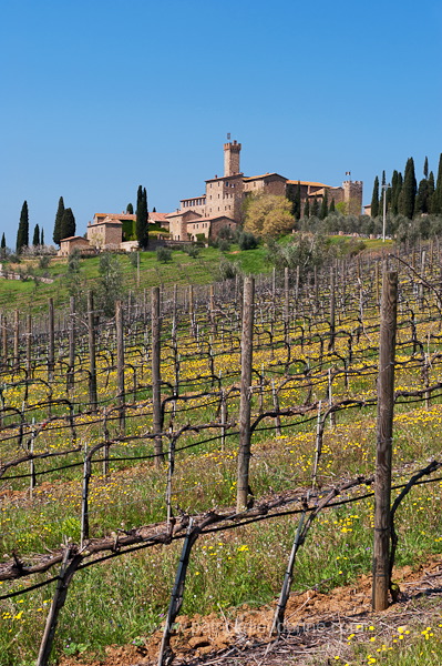 Poggio alle Mura, Tuscany - Poggio alle Mura, Toscane - it01276