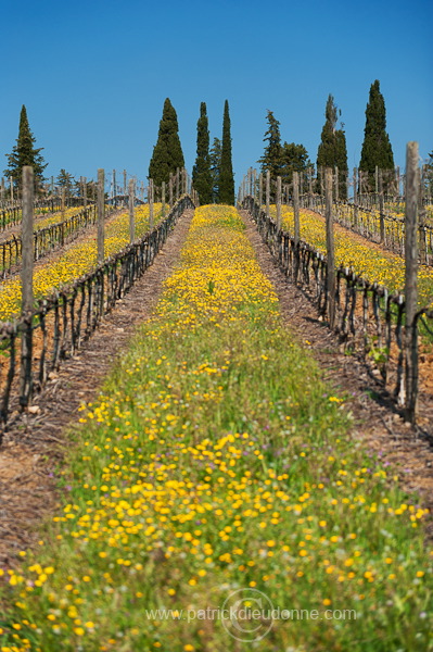 Poggio alle Mura, Tuscany - Poggio alle Mura, Toscane - it01278