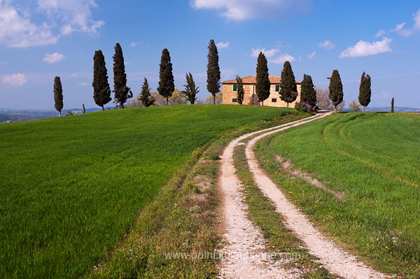 Villa, Tuscany - Villa en Toscane - it01280