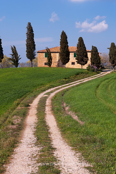 Villa, Tuscany - Villa en Toscane -  it01281