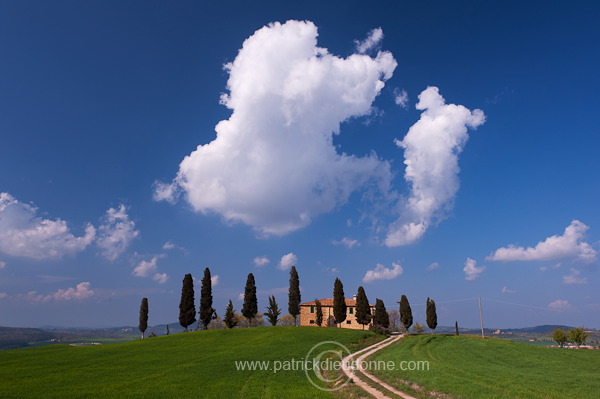 Villa, Tuscany - Villa en Toscane - it01282