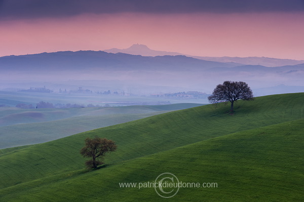 Val d'Orcia, Tuscany - Val d'Orcia, Toscane it01298