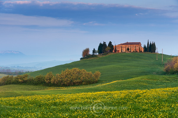 Near Pienza, Tuscany - Pres de Pienza, Toscane - it01334