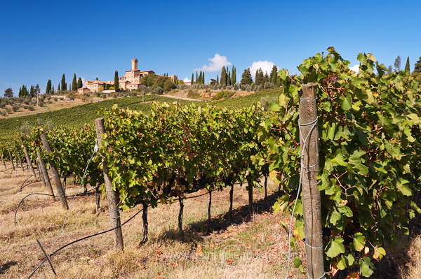 Poggio alle Mura, Tuscany - Poggio alle Mura, Toscane - it01660