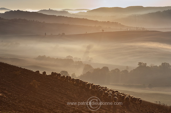 Near Pienza, Tuscany - Pres de Pienza, Toscane - it01695