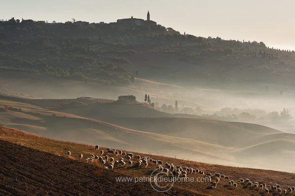 Pienza, Tuscany - Pienza, Toscane - it01696